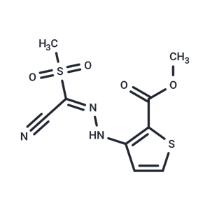 化合物 HIF-2a translation inhibitor|T50099|TargetMol