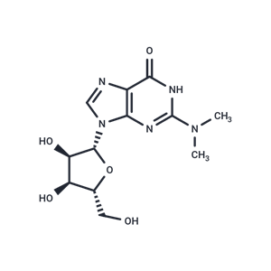 N2,N2-二甲基鳥苷,N2,N2-Dimethylguanosine