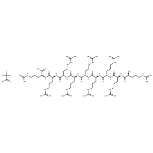 化合物(Arg)9 TFA|TP1079|TargetMol