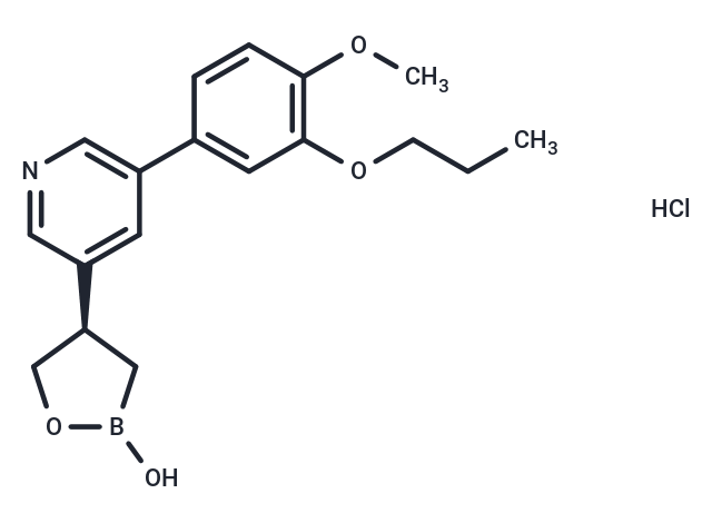 PF-07038124 鹽酸鹽,PF-07038124 HCl