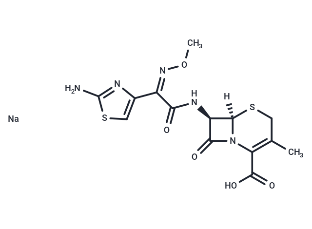 頭孢他美鈉鹽,Cefetamet sodium