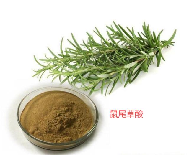 鼠尾草酸,Carnosic acid