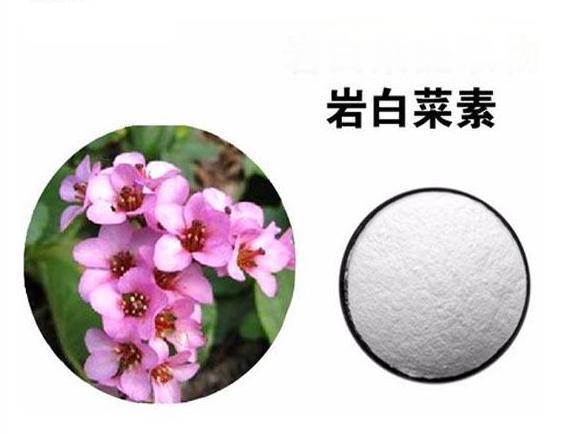 巖白菜素,Bergeninum