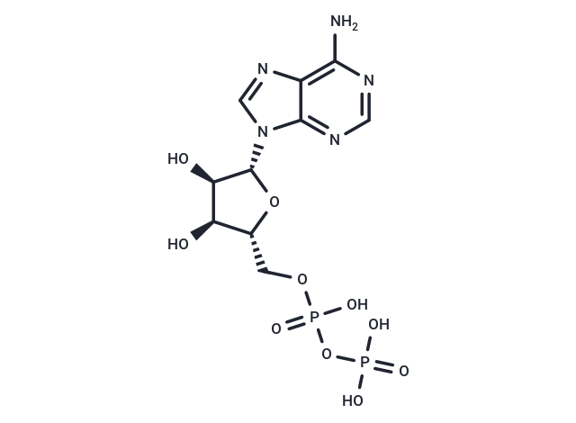 腺苷5'-二磷酸,Adenosine 5'-diphosphate