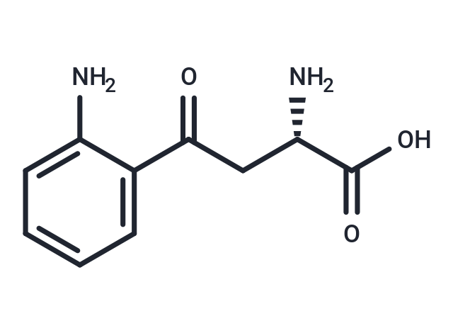 L-犬尿氨酸,L-Kynurenine