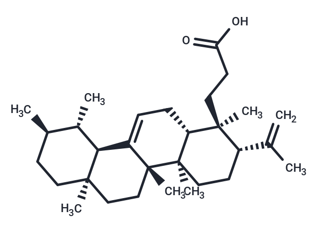 櫟櫻酸,Roburic acid