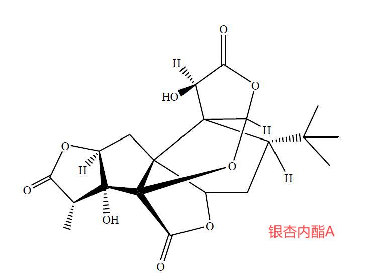 銀杏內(nèi)酯A,Ginkgolide A