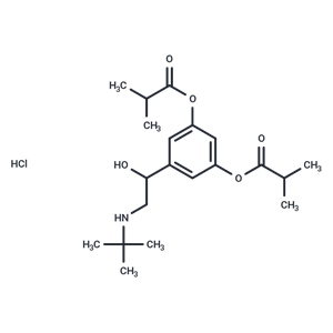 dl-Ibuterol 鹽酸鹽|T68083L|TargetMol