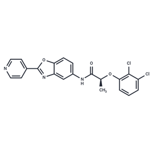 IMPDH2 抑制劑 2|T62338|TargetMol