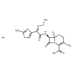 頭孢他美鈉鹽,Cefetamet sodium