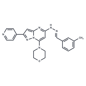 化合物 APY0201|T2061|TargetMol