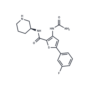 化合物 AZD7762|T6093|TargetMol