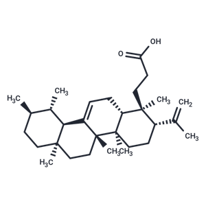 櫟櫻酸,Roburic acid