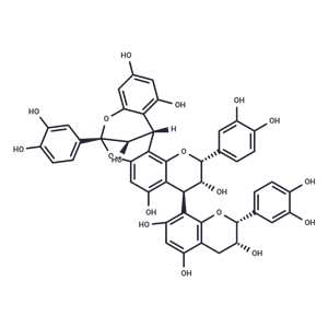 肉桂單寧B-1,Cinnamtannin B-1