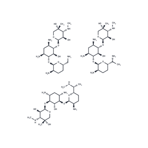 慶大霉素,Gentamicin