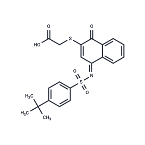 化合物 KPT-6566|T5994|TargetMol