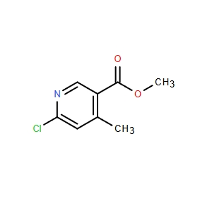 6-氯-4-甲基吡啶-3-羧酸甲酯,Methyl 6-chloro-4-Methylnicotinate