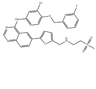 拉帕替尼,Lapatinib