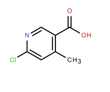 6-氯-4-甲基吡啶-3-羧酸,4-METHYL-6-CHLORONICOTINIC ACID