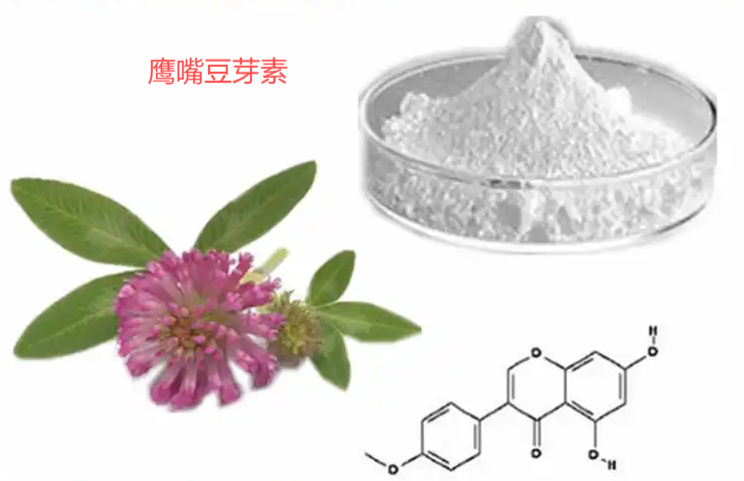 鷹嘴豆芽素,Biochanin A