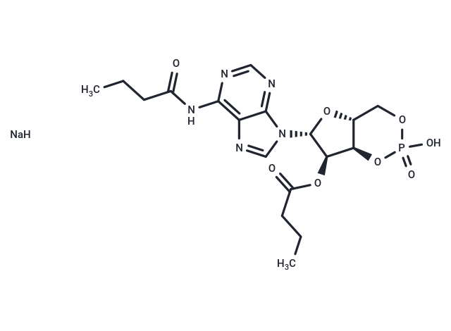 布拉地新鈉鹽,Bucladesine sodium