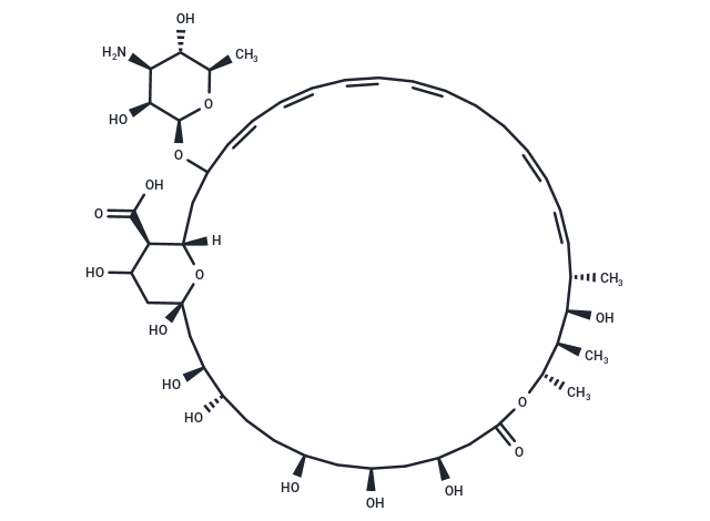 制霉菌素,Nystatin