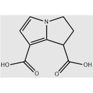 2,3-二氫-1H-吡呤-1,7-二羧酸,2,3-dihydro-1Hpyrrolizine-1,7-dicarboxylic acid