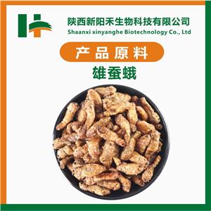 雄蠶蛾提取物,Male silkworm moth extract