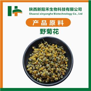 野菊花提取物,Wild Chrysanthemun flowerExtrac