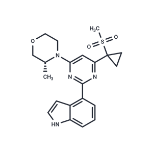 化合物 AZ20|T1958|TargetMol