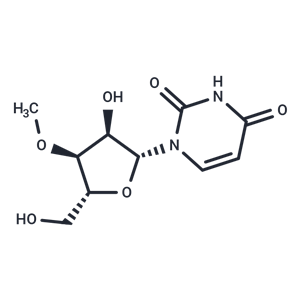 化合物 3’-O-Methyluridine|TNU0730|TargetMol