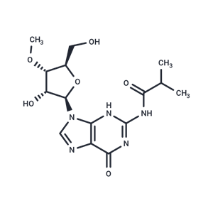 化合物 N2-iso-Butyroyl-3’-O-methylguanosine|TNU1382|TargetMol