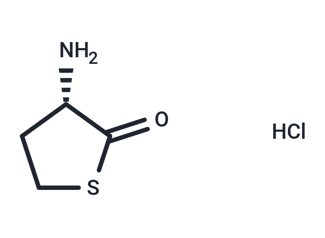 L-高半胱氨酸硫內(nèi)酯鹽酸鹽,L-Homocysteine thiolactone hydrochloride