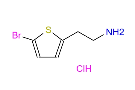 2-(5-溴-2-噻吩)乙胺鹽酸鹽,2-(5-Bromo-thiophen-2-yl)-ethylamine hydrochloride