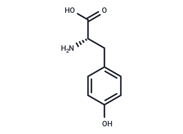 L-酪氨酸,L-Tyrosine