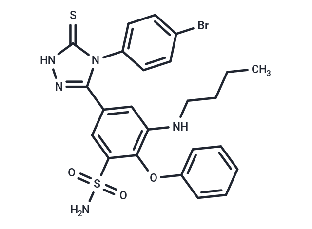 化合物 COX-2-IN-24,COX-2-IN-24