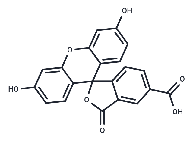 5-羧基熒光素,5-FAM