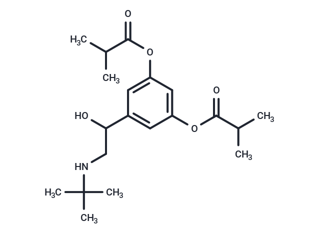 化合物 ibuterol,ibuterol