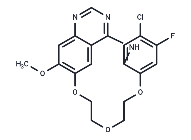 化合物 EGFR-IN-73,EGFR-IN-73