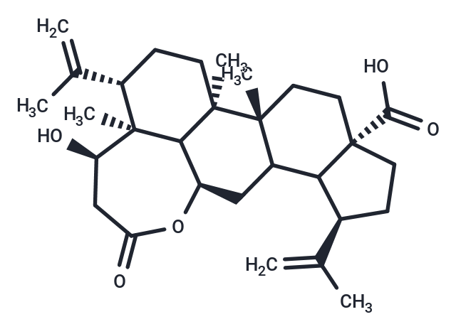 化合物 Chiisanogenin,Chiisanogenin