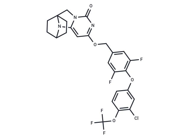 化合物 Lp-PLA2-IN-9,Lp-PLA2-IN-9