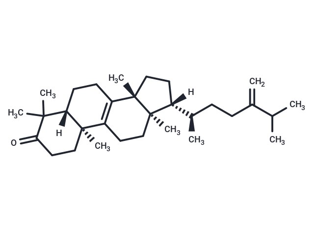 化合物 Eburicone,Eburicone