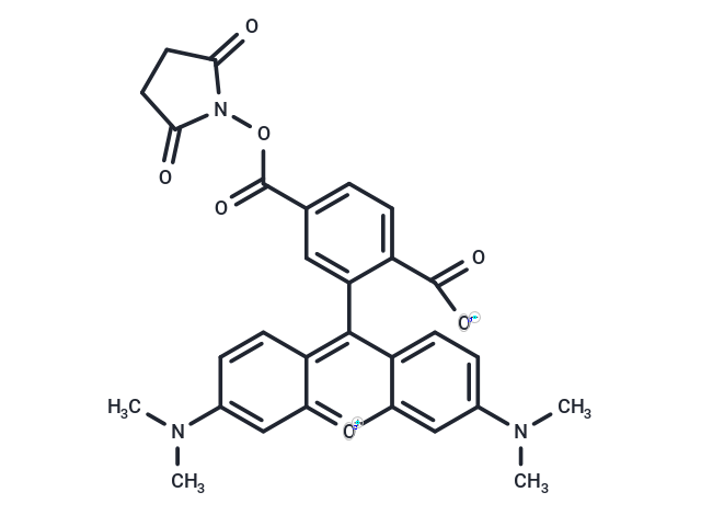 6-羧基四甲基羅丹明琥珀酰亞胺酯,6-TAMRA-SE