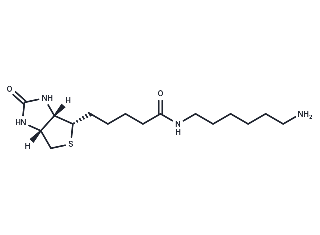 N-生物素基-1,6-己二胺,N-Biotinyl-1,6-hexanediaMine