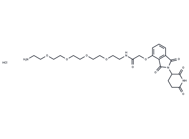 化合物Thalidomide-O-amido-PEG4-C2-NH2 hydrochloride,Thalidomide-O-amido-PEG4-C2-NH2 hydrochloride