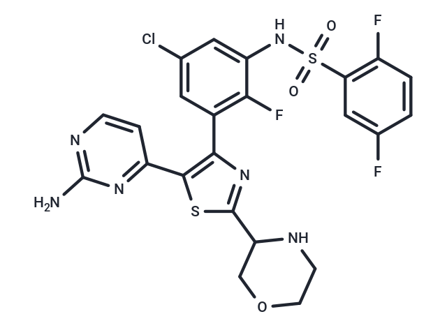 化合物 B-Raf IN 5,B-Raf IN 5