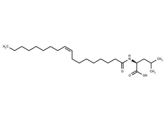 化合物 N-Oleoyl Leucine,N-Oleoyl Leucine