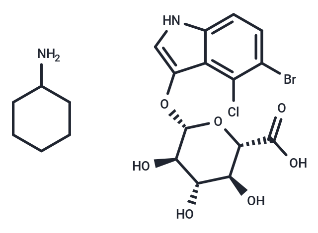 5-溴-4-氯-3-吲哚葡萄糖苷,X-Gluc cyclohexanamine