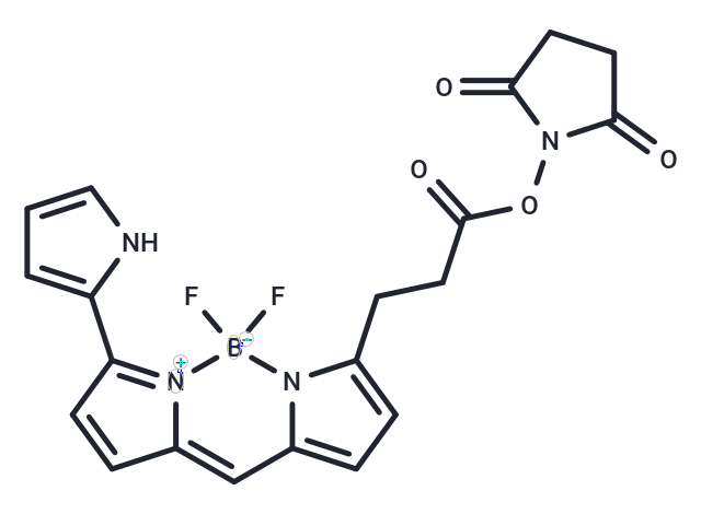 化合物化合物,Py-BODIPY-NHS ester