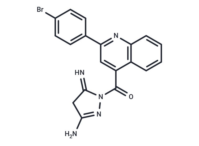 化合物 DNA Gyrase-IN-8,DNA Gyrase-IN-8